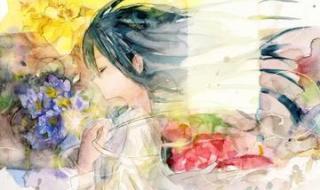 守护女主的哥哥小说